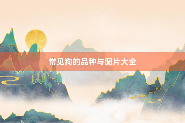 常见狗的品种与图片大全