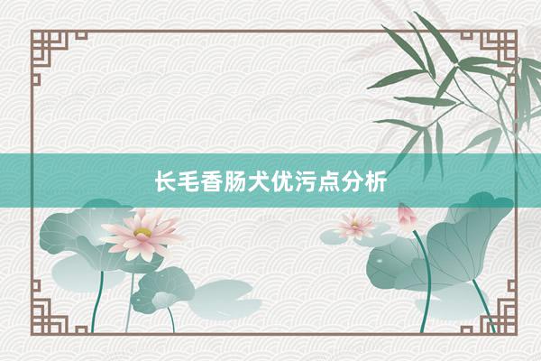 长毛香肠犬优污点分析